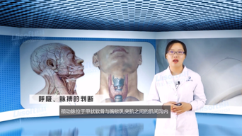 视频类微课